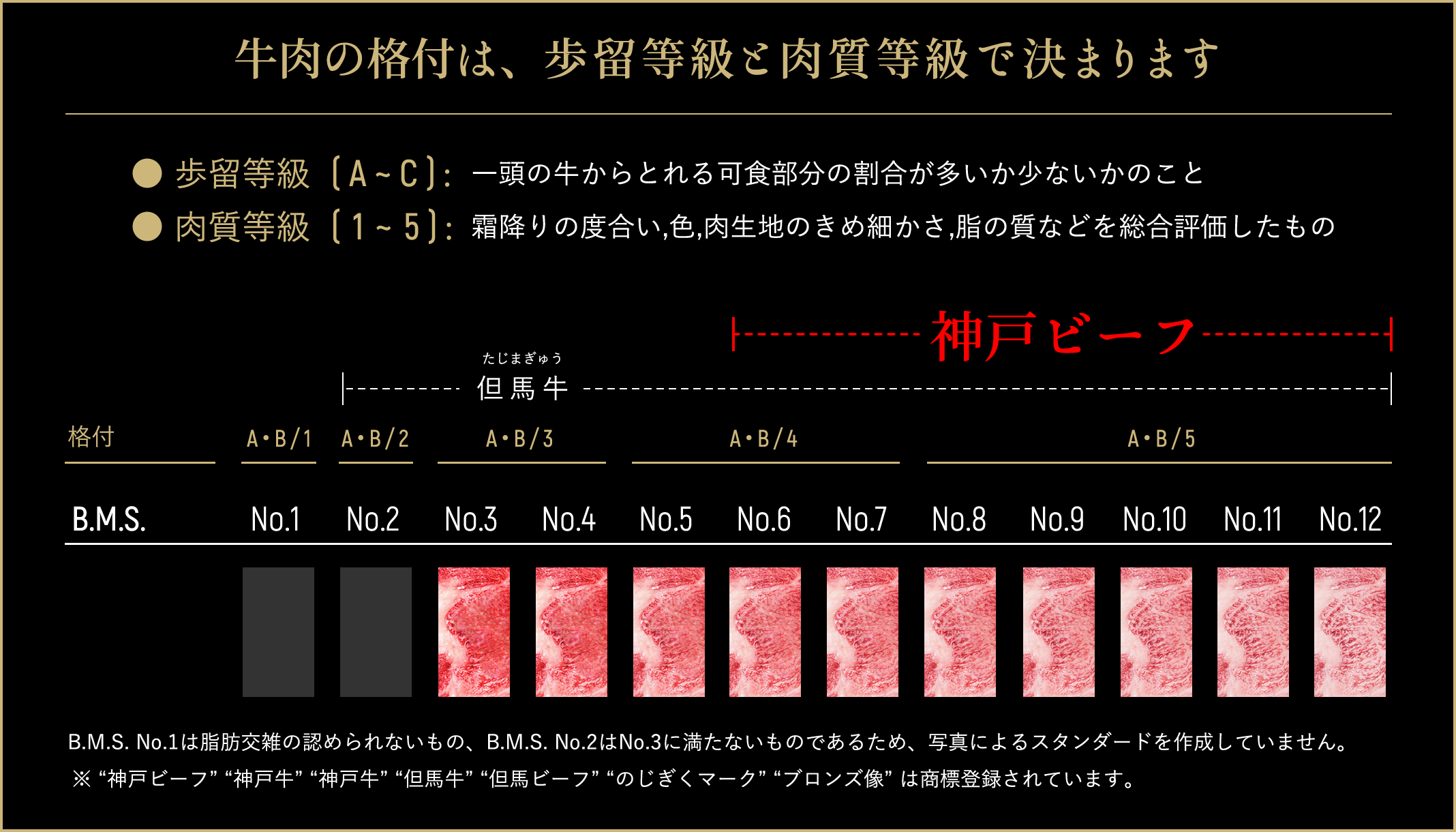 牛肉の格付は、歩留等級と肉質等級できまります